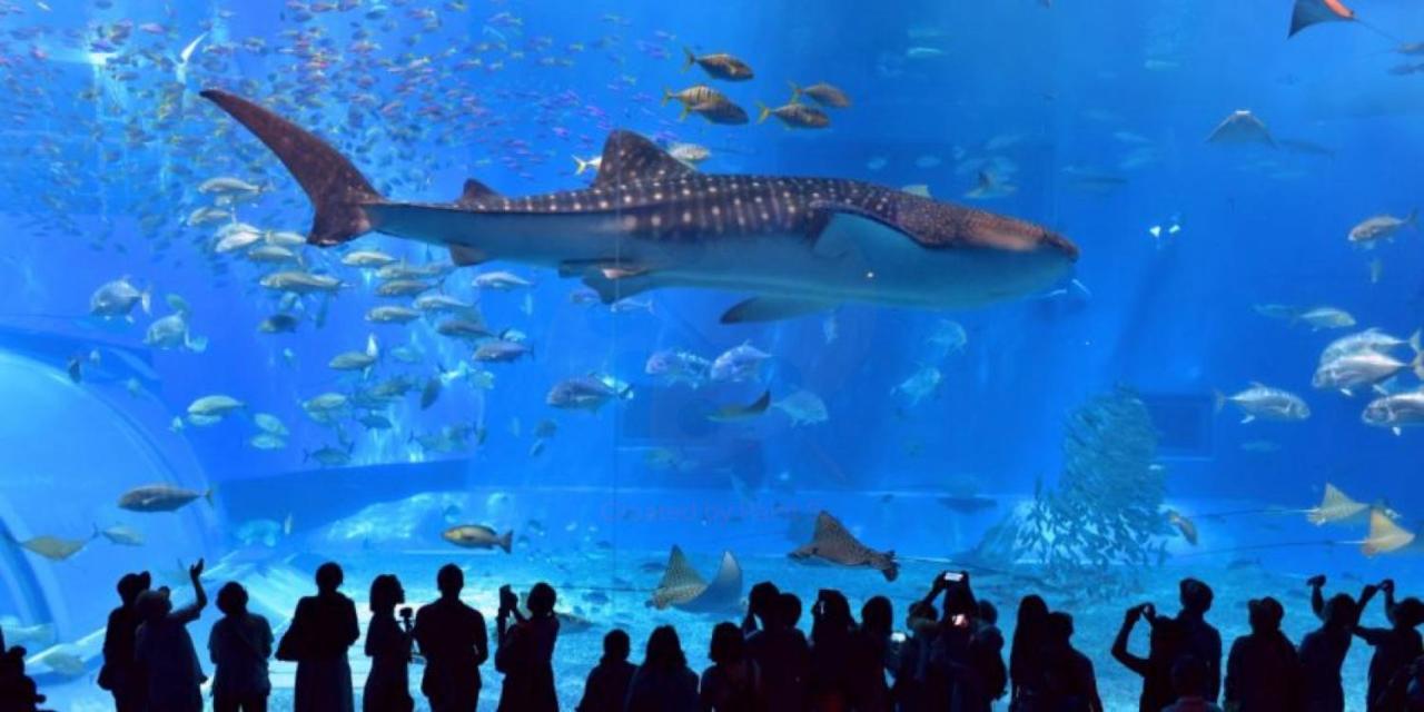 グランディオーソ沖縄ヴィラ恩納1 Onna Exterior foto